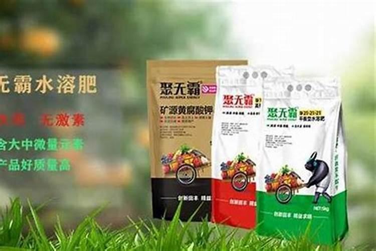 核桃树什么时候发芽