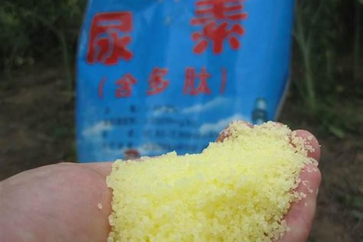 尿素可以化成水随大水冲施吗