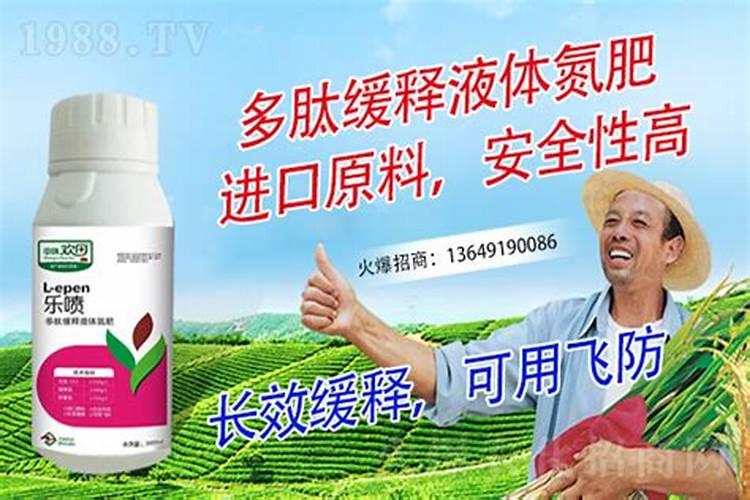 柑橘裂果是什么原因？有哪些预防的小技巧吗？