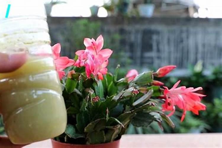 格兰多纳 核心款12151821