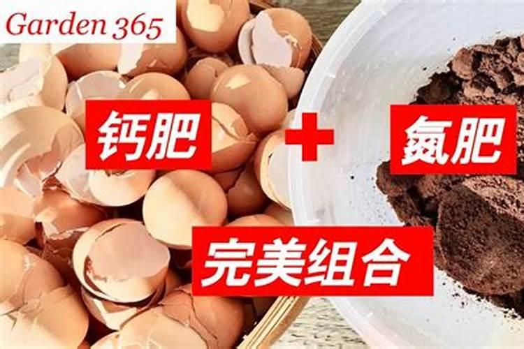 蝴蝶兰施肥用什么肥料好