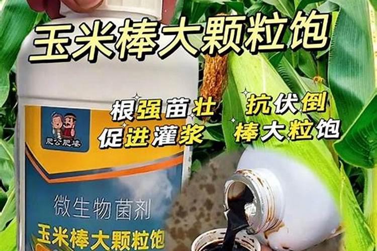 哈斯库农药治棉柃虫吗