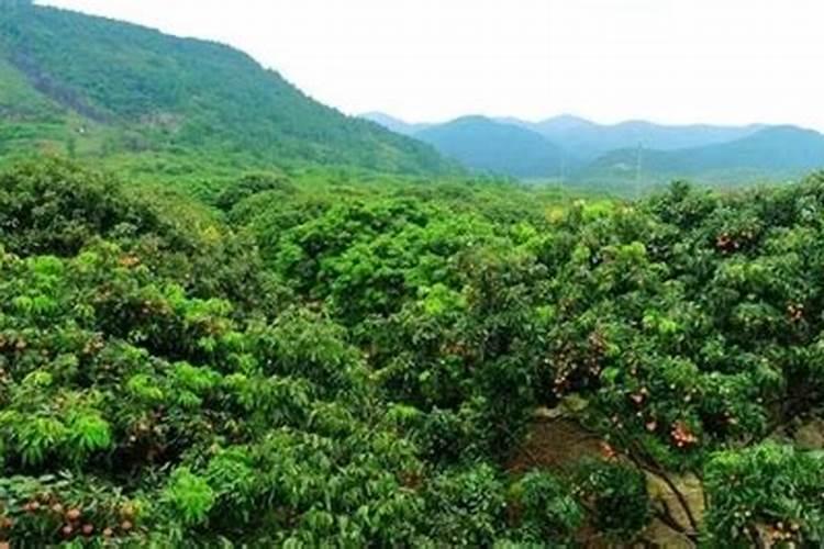 玉米金大棒一瓶盖会有多少克的量呢