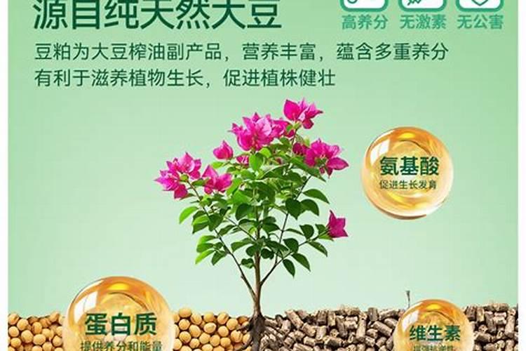 种葡萄用什么肥料？