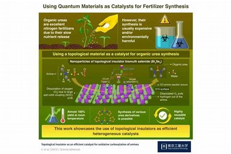 量子能量有机肥的功效
