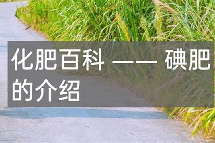 碘和复合肥能反应吗