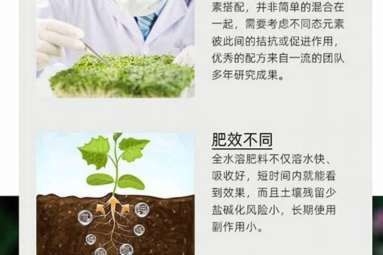 如何给小麦施钾肥？