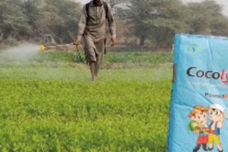 山东农大肥料怎么样