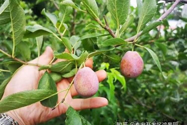 克莱氏化妆品怎么样