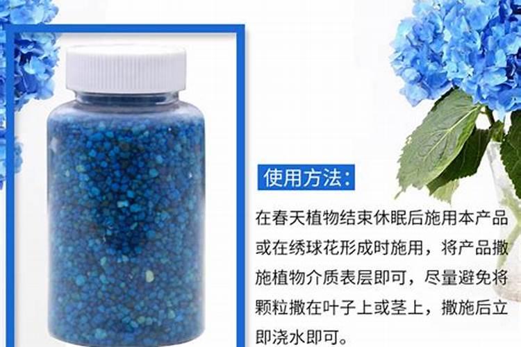 芸豆什么时候打顶