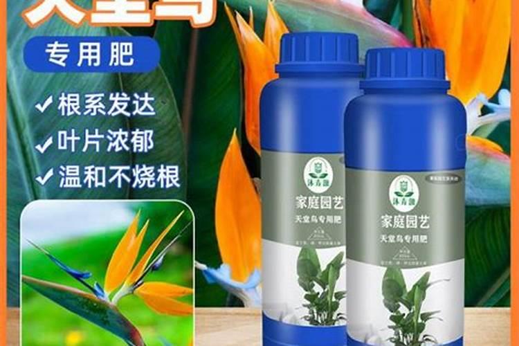 天堂鸟用什么肥料好