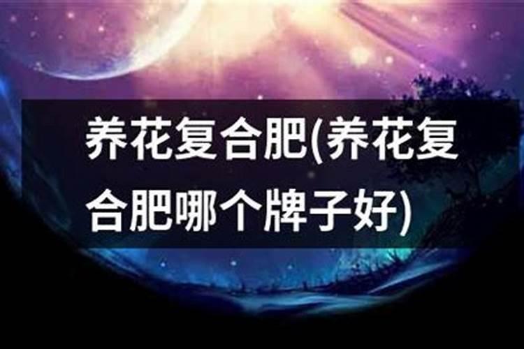 种花用什么肥料最好