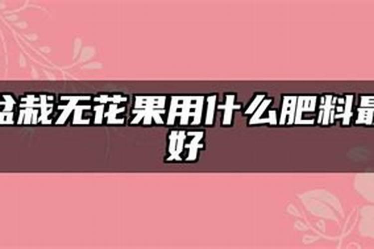 无花果用什么肥料最好