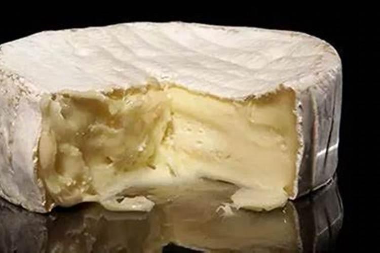 多美鲜布里奶酪为什么会有一股臭味