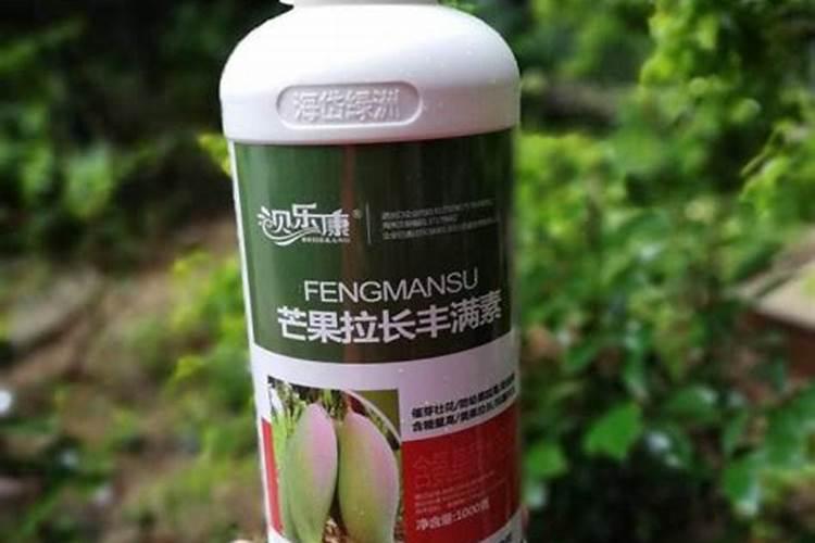 刚种的芒果树怎么施肥