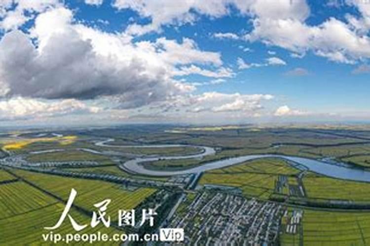 水稻叶面肥哪一种最佳