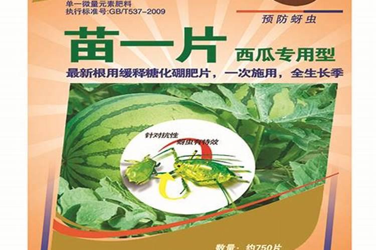 磷酸二氢钾浇月季花使用方法