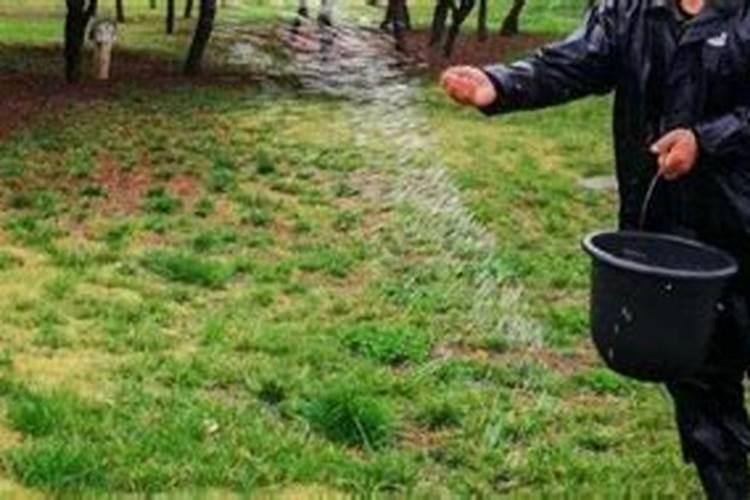 微量元素水溶肥多花晶十聚合硫体硼作用多少钱一瓶