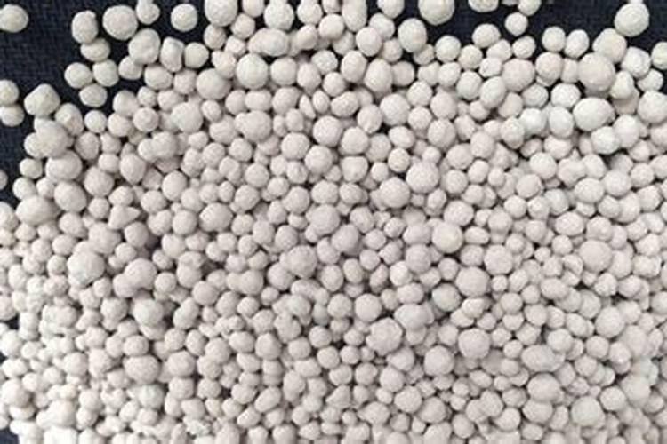 多肉植物肥料多久施一次