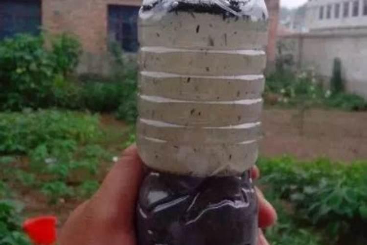 柴灰可以做肥料吗 草木灰的主要成分与作用