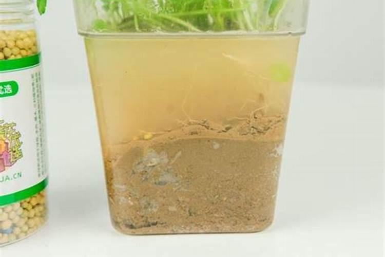 宝鸡避暑的好地方有哪些