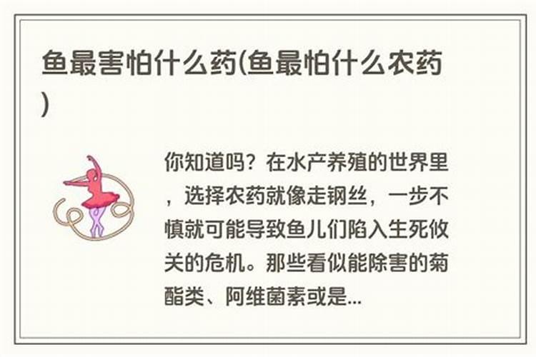 小麦、玉米一次施肥法的原因及利弊