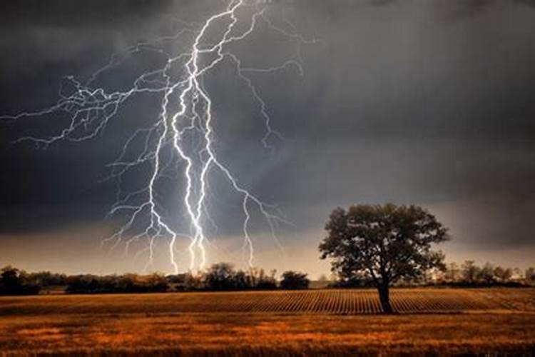 响雷后下的雨含有氮肥,说明空气中含有什么