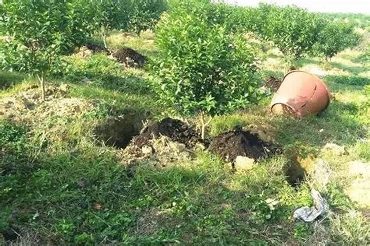 “我……肾青年” 用粤语讲是什么意思