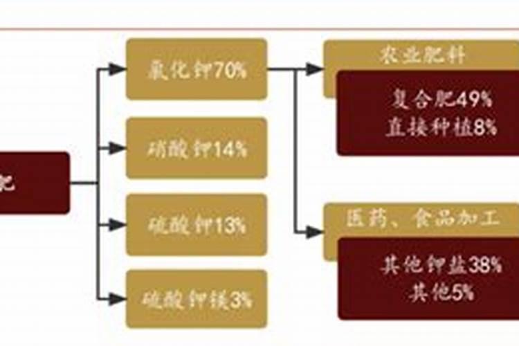 哪种钙片增高效果好