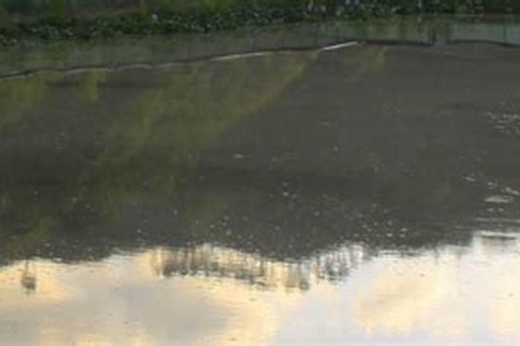 鱼塘用复合肥肥水一次用多少