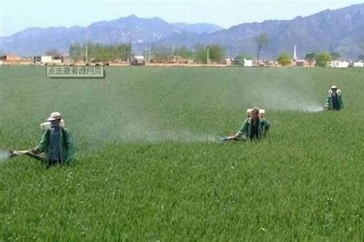 国内比较好水溶肥厂家有哪些