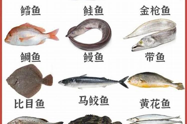 无核黄皮是转基因的吗