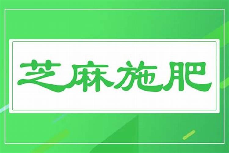 芝麻什么时间施肥最好 芝麻什么时候施肥
