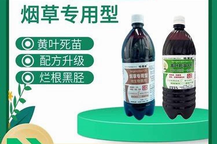 草莓施什么肥料较甜