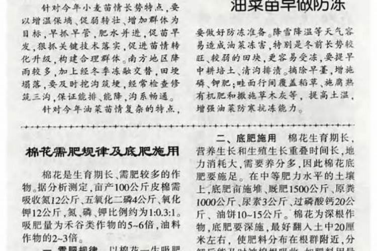 西红柿用什么叶面肥比较好