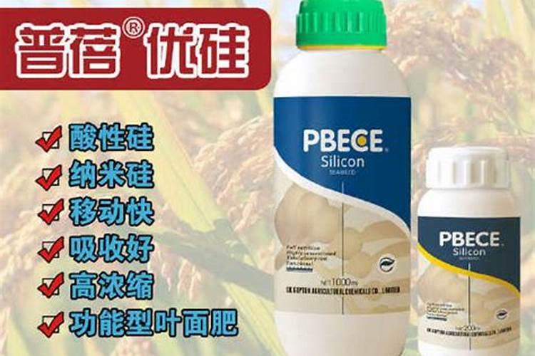 科洛菲有机水溶肥厂的简介与历史发展