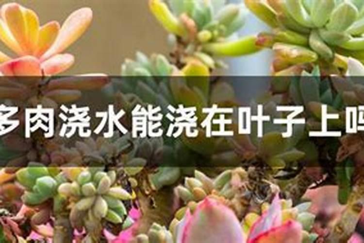 玉米喷控旺药什么时间打好？