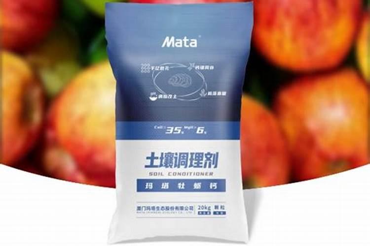 玛塔牡蛎钙高产我用牡蛎钙 ——寿光大棚回访记