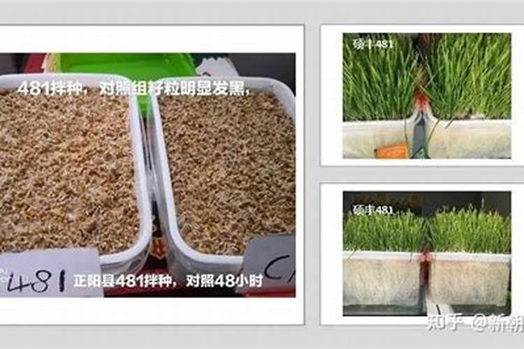 玛塔牡蛎钙为什么作物补钙选玛塔牡蛎钙,看看这几点你就明白了百度知...