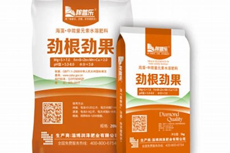豌豆苗怎样种又粗又嫩