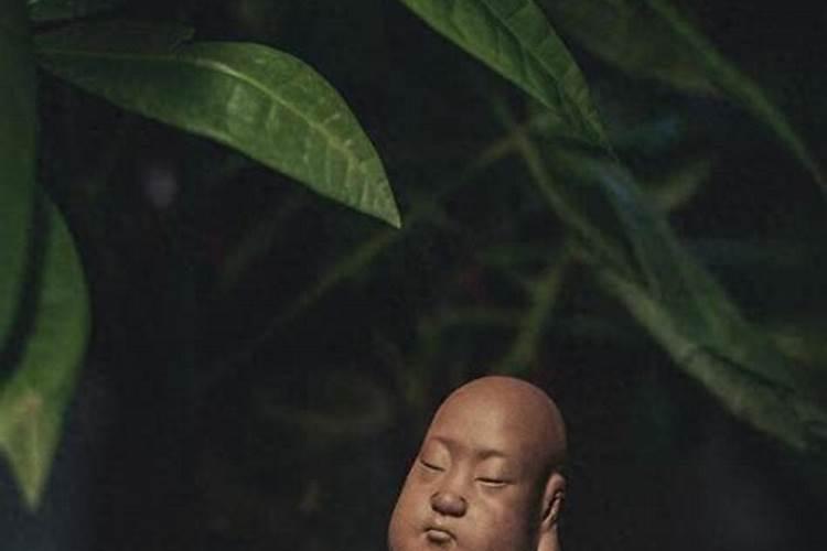 氮肥、磷肥、钾肥的作用是什么？