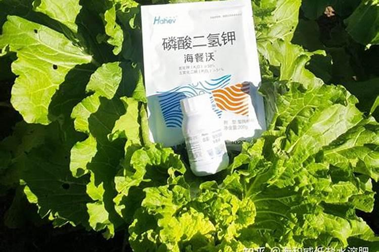 多拉美睡衣是几线品牌