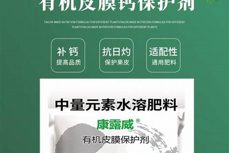 有机皮膜钙在冬枣采摘期对雨水冲刷还起保护作用吗