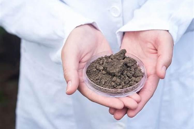 氮肥施加方法(氮肥施加方法详解,科学施肥,助力作物丰收)