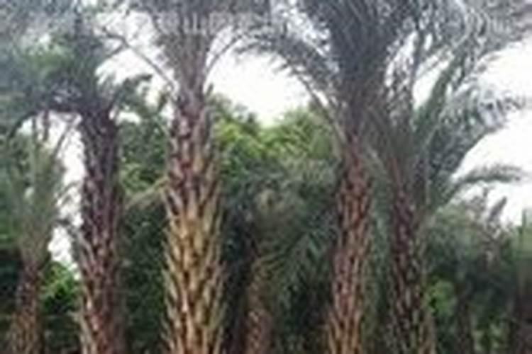 木筏求生菜谱大全介绍木筏求生菜谱大全是什么