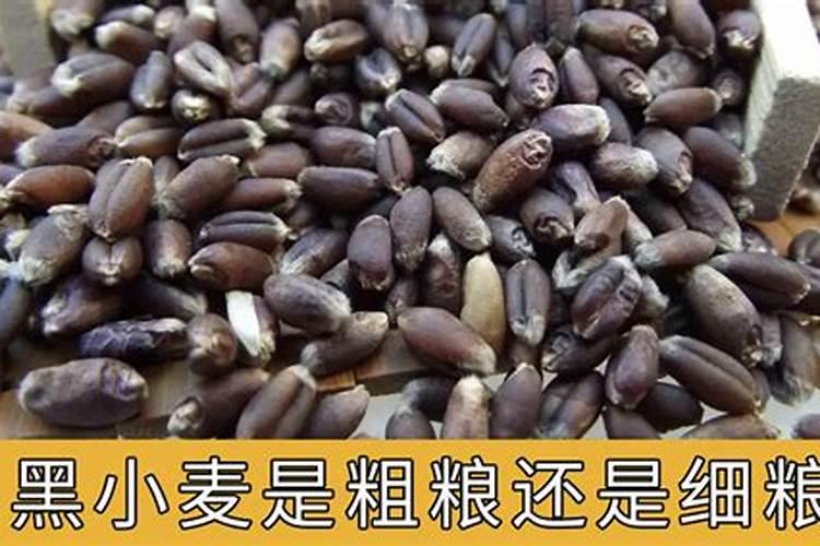要想兰花长得快需要施什么肥