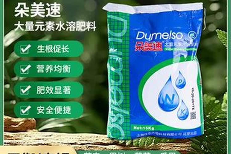 测试这个名字怎么样`齐朵朵