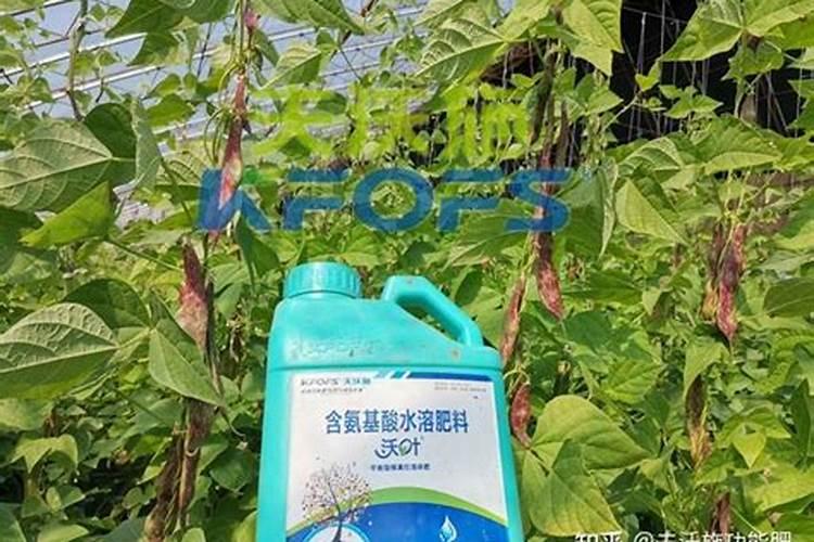 几丁质在农业方面有哪些应用