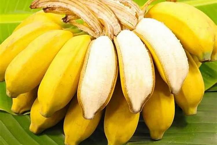 香蕉南天黄品种种植特性