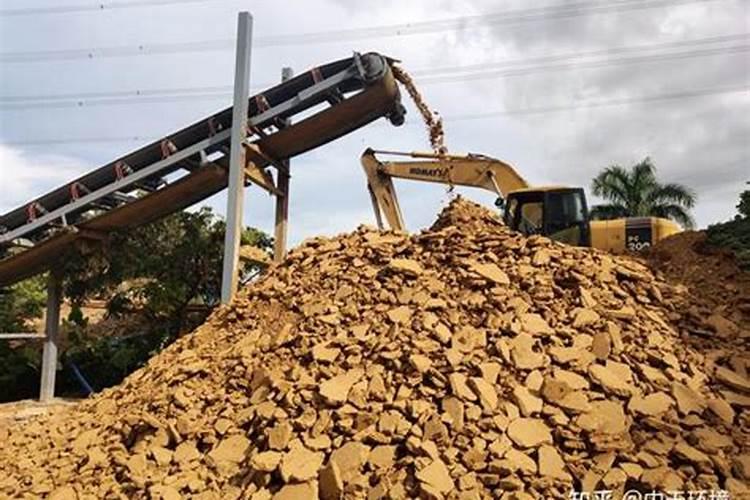 苍术多少钱一斤